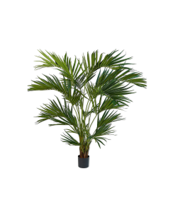 Palm Green 220cm