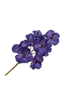Orchid Vanda Stem Dark Purple 79cm