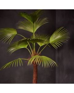 Palm Green 203cm