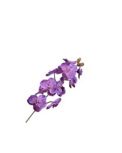 Orchid Stem Dark Purple 78cm