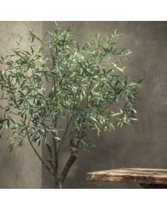 Olive Tree Green 198cm